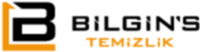 Bilgins Logo